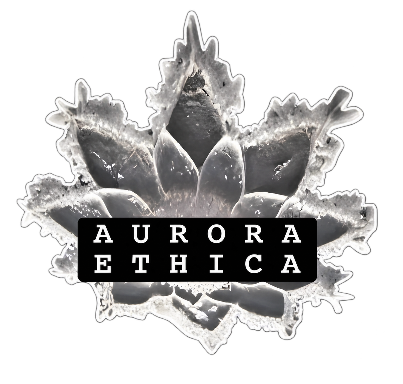 Aurora Ethica ice flower logo